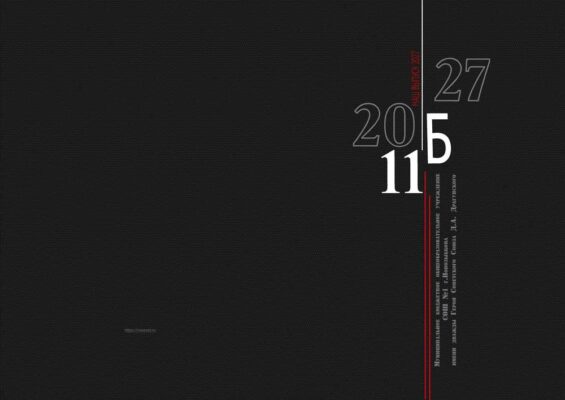 Выпускные альбомы для 9-11 классов №17